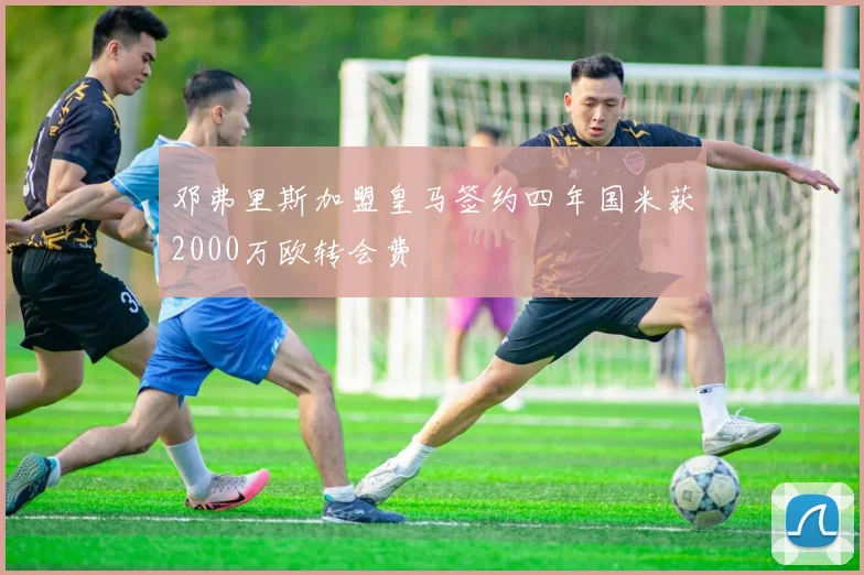 邓弗里斯加盟皇马签约四年国米获2000万欧转会费