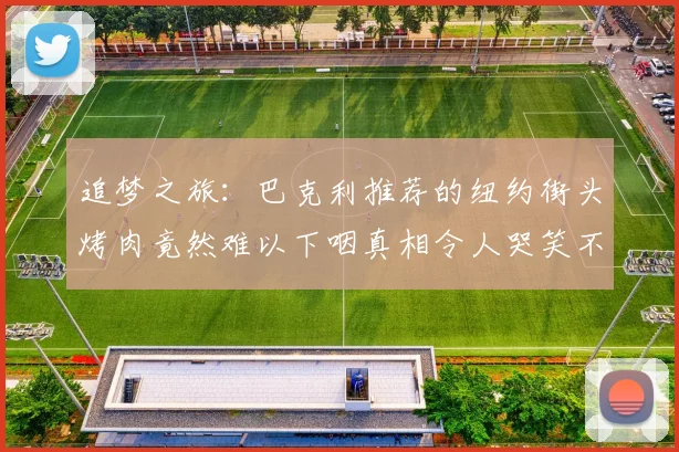 追梦之旅：巴克利推荐的纽约街头烤肉竟然难以下咽真相令人哭笑不得
