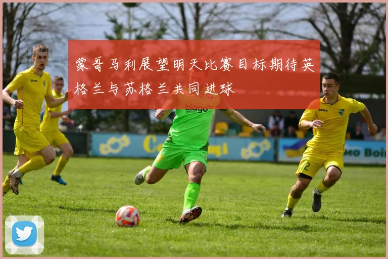 蒙哥马利展望明天比赛目标期待英格兰与苏格兰共同进球